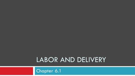 Labor and Delivery Chapter 6.1.