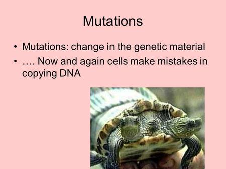 Mutations Mutations: change in the genetic material …. Now and again cells make mistakes in copying DNA.