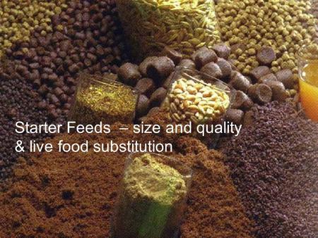 Starter Feeds – size and quality & live food substitution.