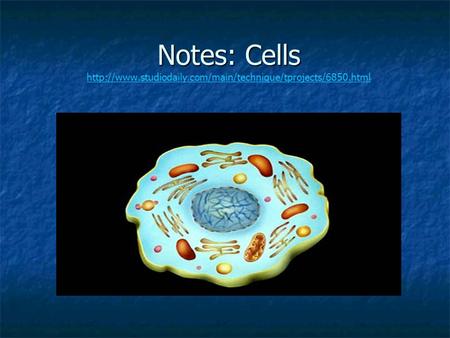 Notes: Cells Notes: Cells