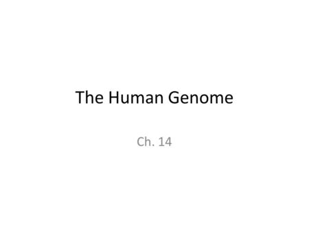 The Human Genome Ch. 14. Human Chromosomes Karyotype = how chromosomes are arranged in pairs Humans have 46 chromosomes or 23 pairs The 23 rd pair are.
