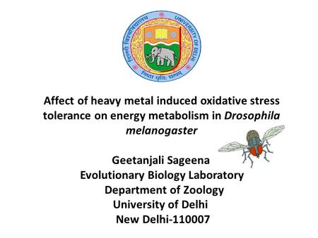 Affect of heavy metal induced oxidative stress tolerance on energy metabolism in Drosophila melanogaster Geetanjali Sageena 	Evolutionary Biology Laboratory.