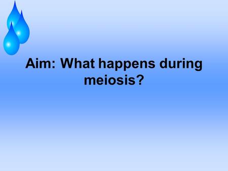 Aim: What happens during meiosis?. Meiosis reduces chromosome number by copying the chromosomes once, but dividing twice. The first division, meiosis.
