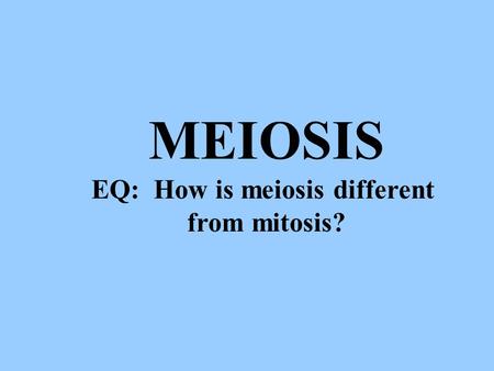 MEIOSIS EQ: How is meiosis different from mitosis?