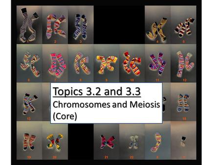 Topics 3.2 and 3.3 Chromosomes and Meiosis (Core).