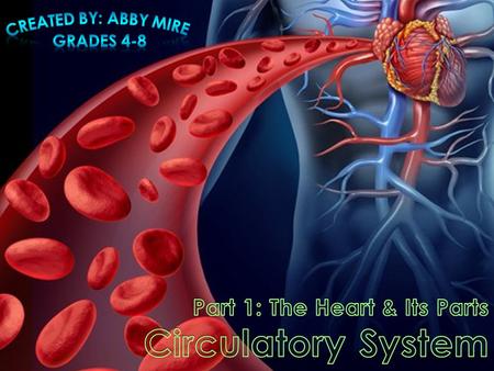  I can list the functions of the circulatory system.  I can give examples of materials needed by cells to function.  I can give an example of waste.