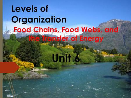 Levels of Organization Food Chains, Food Webs, and the Transfer of Energy Unit 6.