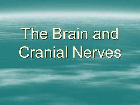 The Brain and Cranial Nerves. The Brain –Introduction –Development of brain  Embryology –Anatomy of brain  Parts and functions.