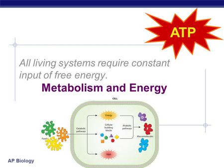 AP Biology All living systems require constant input of free energy. Metabolism and Energy.