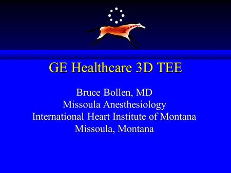 GE Healthcare 3D TEE Bruce Bollen, MD Missoula Anesthesiology International Heart Institute of Montana Missoula, Montana.
