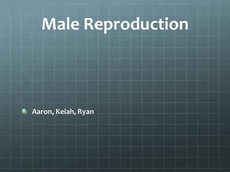 Male Reproduction Aaron, Keiah, Ryan.