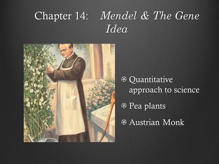 Chapter 14: Mendel & The Gene Idea Quantitative approach to science Pea plants Austrian Monk.