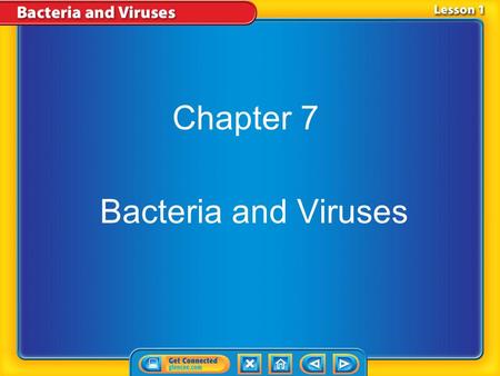 Chapter 7 Bacteria and Viruses.