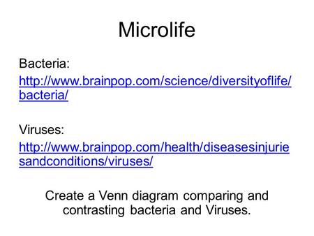Microlife Bacteria:  bacteria/ Viruses:  sandconditions/viruses/