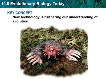 10.5 Evolutionary Biology Today KEY CONCEPT New technology is furthering our understanding of evolution.