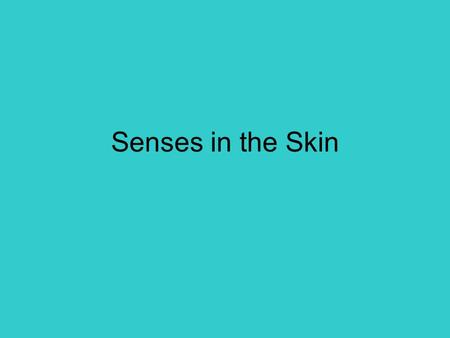 Senses in the Skin.