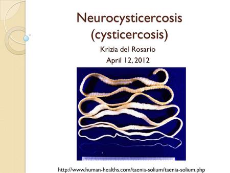 Neurocysticercosis (cysticercosis) Krizia del Rosario April 12, 2012