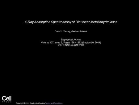 X-Ray Absorption Spectroscopy of Dinuclear Metallohydrolases David L. Tierney, Gerhard Schenk Biophysical Journal Volume 107, Issue 6, Pages 1263-1272.