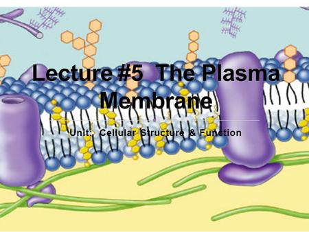 Unit: Cellular Structure & Function All cells have a cell membrane that separates the cell from its non-living surroundings. It is a thin barrier; approximately.