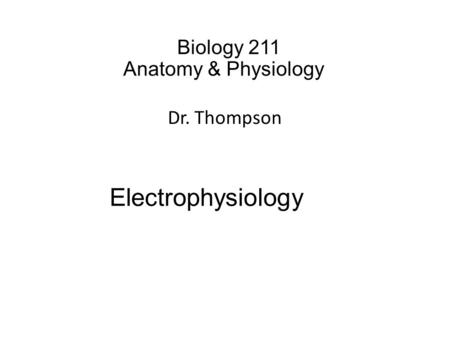 Biology 211 Anatomy & Physiology I Dr. Thompson Electrophysiology.