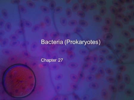 Bacteria (Prokaryotes) Chapter 27. What you need to know! Different Domains and Kingdoms of prokaryotes How chloroplasts and mitochondria evolved through.