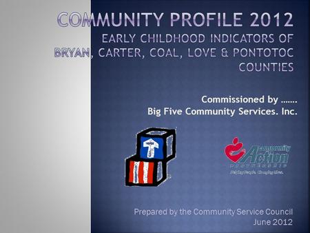 Commissioned by ……. Big Five Community Services. Inc. Prepared by the Community Service Council June 2012.