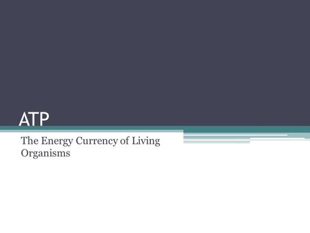 ATP The Energy Currency of Living Organisms. Objectives Understand the molecule ATP.