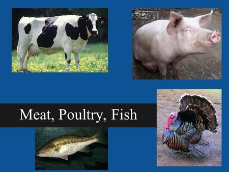 Meat, Poultry, Fish. Nutritional Value of Meat Meat is a major source of protein. 1 serving = 3 oz. of meat (1 deck of cards)