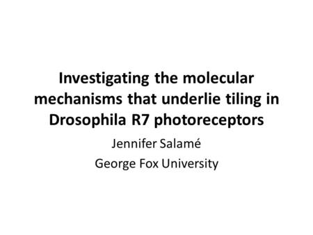 Investigating the molecular mechanisms that underlie tiling in Drosophila R7 photoreceptors Jennifer Salamé George Fox University.