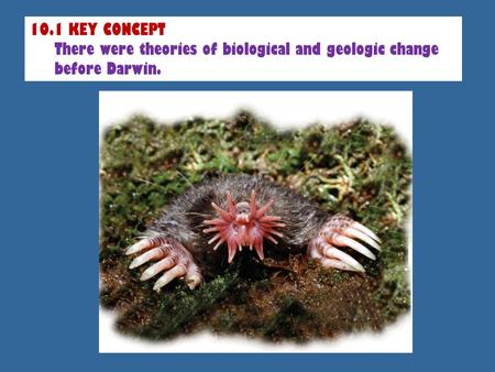 10.1 KEY CONCEPT There were theories of biological and geologic change before Darwin.