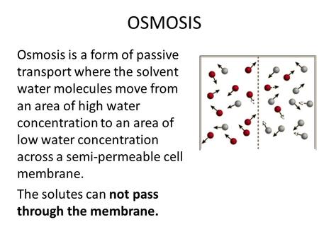 OSMOSIS Osmosis is a form of passive transport where the solvent water molecules move from an area of high water concentration to an area of low water.