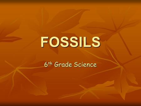 FOSSILS 6 th Grade Science. OVERVIEW Explain what fossils are and how most fossils form. Explain what fossils are and how most fossils form. Describe.