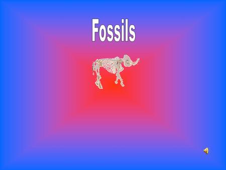 mold fossils - a fossilized impression made in the substrate - a negative image of the organism cast fossils - formed when a mold is filled in FOUR.