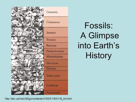 Fossils: A Glimpse into Earth’s History