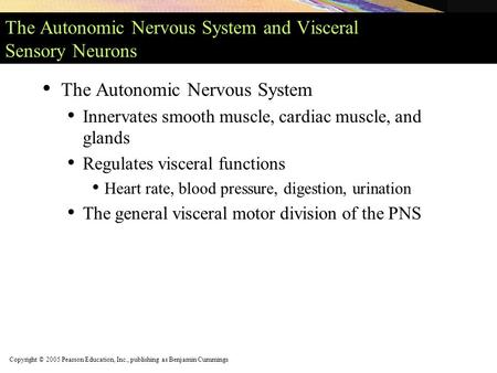 Copyright © 2005 Pearson Education, Inc., publishing as Benjamin Cummings The Autonomic Nervous System and Visceral Sensory Neurons The Autonomic Nervous.