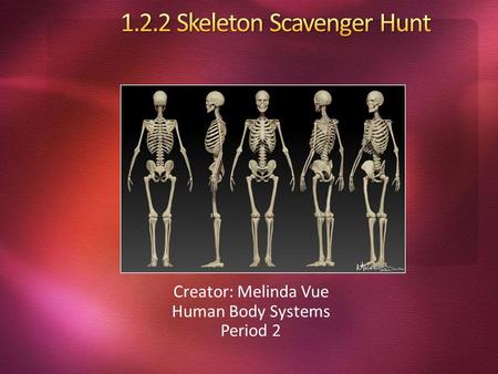 Creator: Melinda Vue Human Body Systems Period 2.