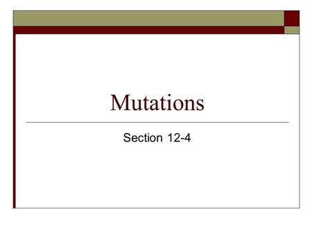 Mutations Section 12-4. Objectives for this section  Contrast gene mutations and chromosomal mutations.