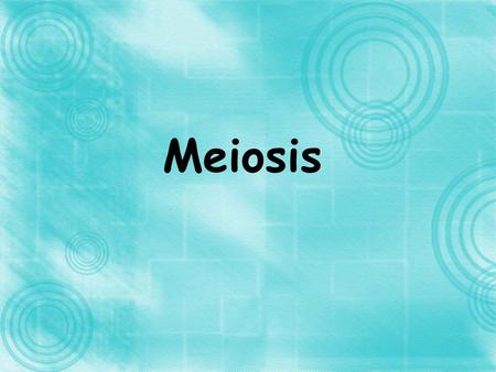 Meiosis. Review Mitosis What was the purpose of Mitosis? –cell division in multi-cellular organisms –Reproduction in uni-cellular organisms –What were.