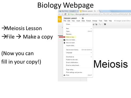 Biology Webpage  Meiosis Lesson  File  Make a copy (Now you can fill in your copy!)