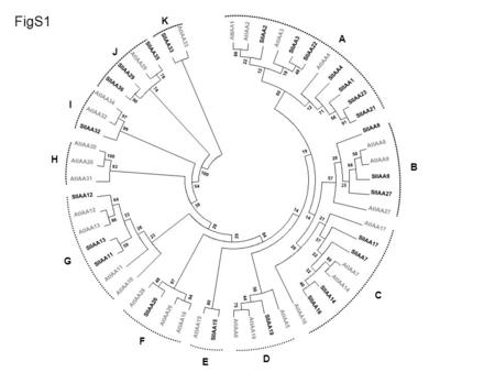 A B C D E F G H I J K FigS1. Supplemental Figure S1. Evolutionary relationships of Arabidopsis and tomato Aux/IAA proteins. The evolutionary history was.