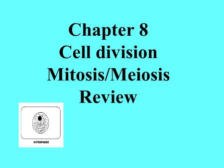 Chapter 8 Cell division Mitosis/Meiosis Review. This spot that holds the 2 chromatid copies together is called a ______________________ centromere The.