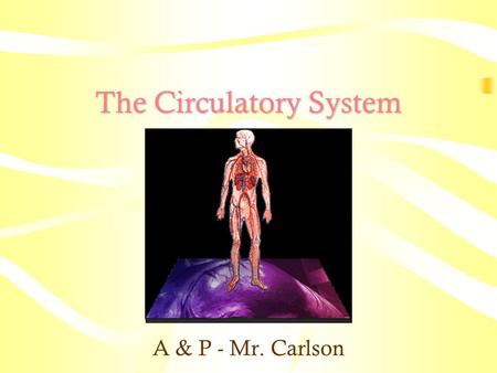 The Circulatory System A & P - Mr. Carlson. www.google.com Major Structures of the Circulatory System Heart Blood Vessels Blood Lymph Nodes Lymph Lymph.