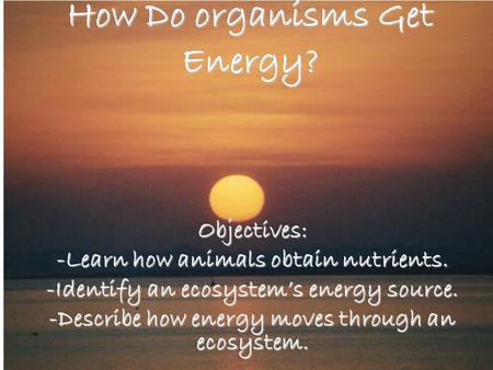 How Do organisms Get Energy? Objectives: -Learn how animals obtain nutrients. -Identify an ecosystem’s energy source. -Describe how energy moves through.