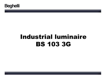 Industrial luminaire BS 103 3G.