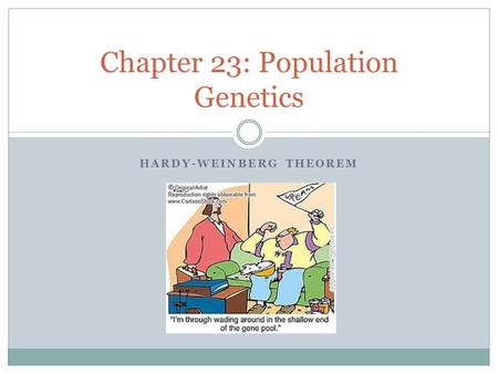 HARDY-WEINBERG THEOREM Chapter 23: Population Genetics.