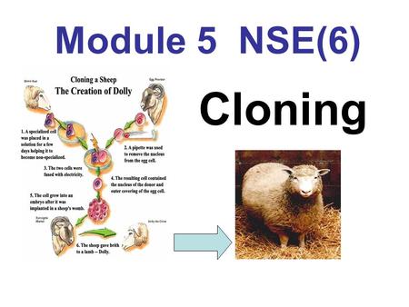 Module 5 NSE(6) Cloning. Periods dividing Period 1 Introduction (Vocabulary and reading,speaking ) Period 2 Reading and vocabulary Speaking, Period 3.