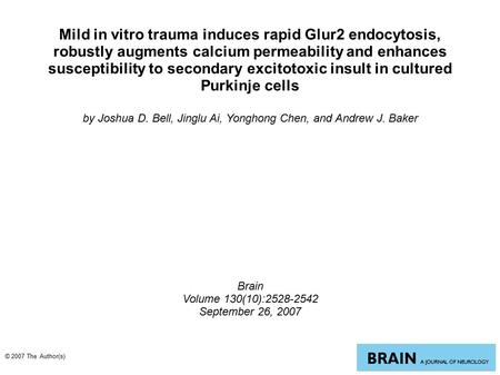 Mild in vitro trauma induces rapid Glur2 endocytosis, robustly augments calcium permeability and enhances susceptibility to secondary excitotoxic insult.