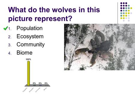 What do the wolves in this picture represent?
