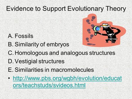 Evidence to Support Evolutionary Theory
