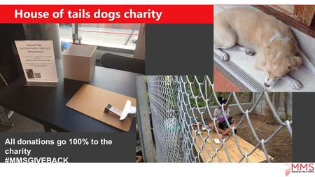 House of tails dogs charity All donations go 100% to the charity #MMSGIVEBACK.